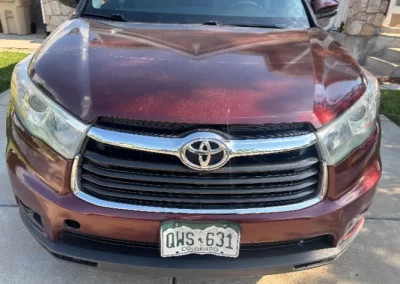 Professional car detailer