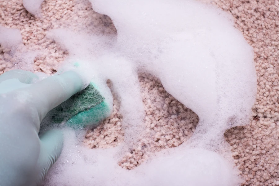 Superior Carpet Shampooing Brighton, CO Superior Carpet Shampooing Brighton, CO